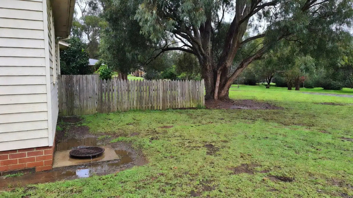 Water pooling around an overflow relief gully beside a weatherboard house, with a large tree nearby